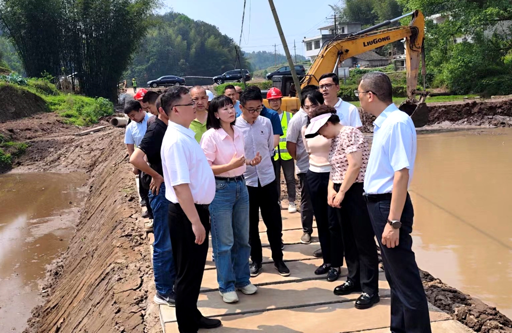 杜伟县长到长宁高农项目工地调研 (1).jpg