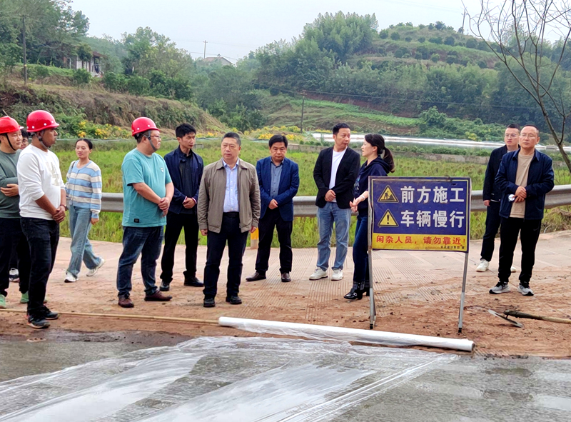 江安县宣传部部长白静到江安“高农”项目调研 (2).png