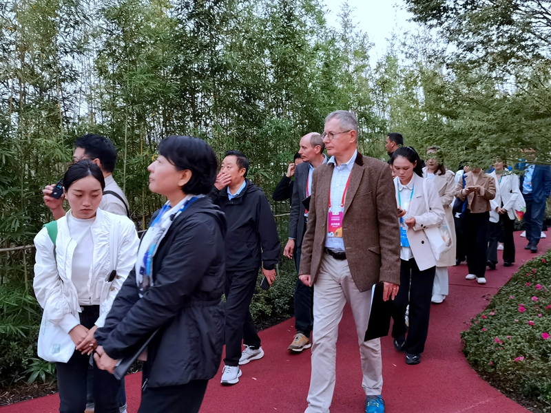 沉浸试体验，国际园艺生产者协会到宜宾展园评比打分 (1).jpg