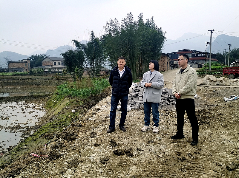 建投集团副总经理黄宾赴长宁县多个项目调研 (2).jpg